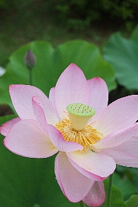 f0035962_20542250.jpg