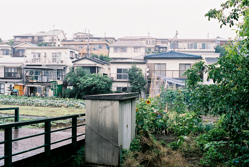 c0084666_22255799.jpg