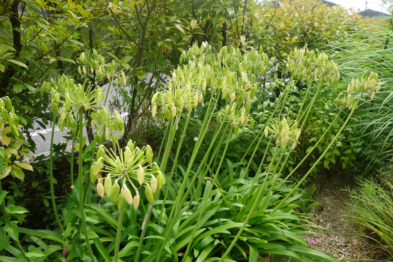 c0216472_1403050.jpg