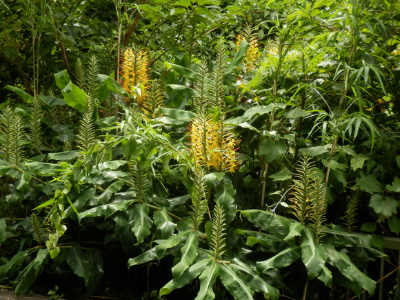 e0292172_20423791.jpg