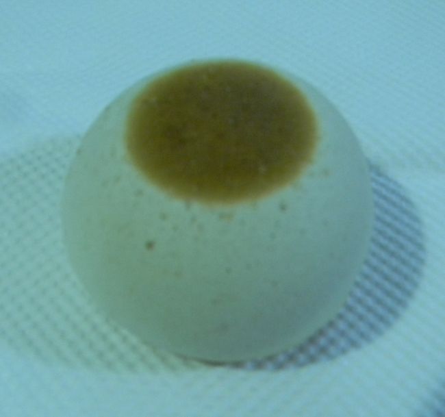 b0014576_06455389.jpg