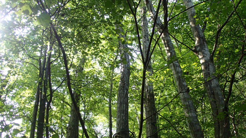 e0024081_08173665.jpg