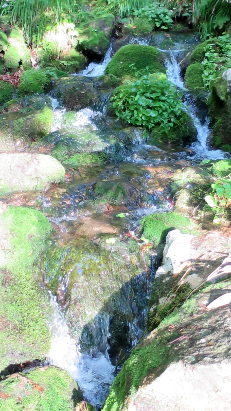 e0024081_08485099.jpg