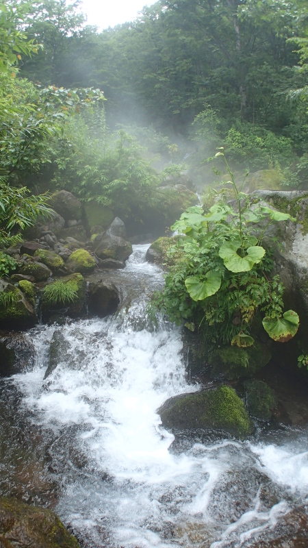 e0024081_10385100.jpg