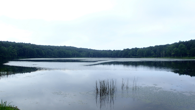 e0024081_10400250.jpg
