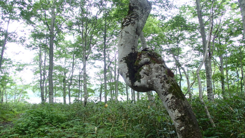 e0024081_10403378.jpg