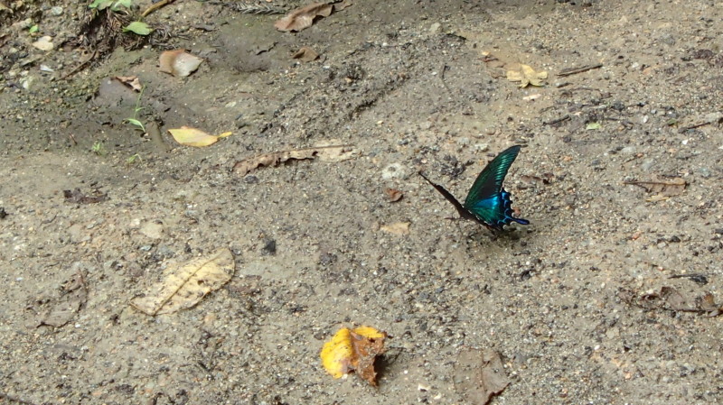 e0024081_10423588.jpg