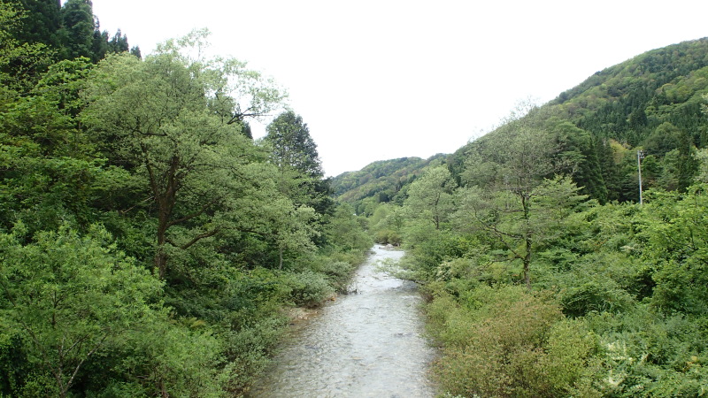 e0024081_10431759.jpg