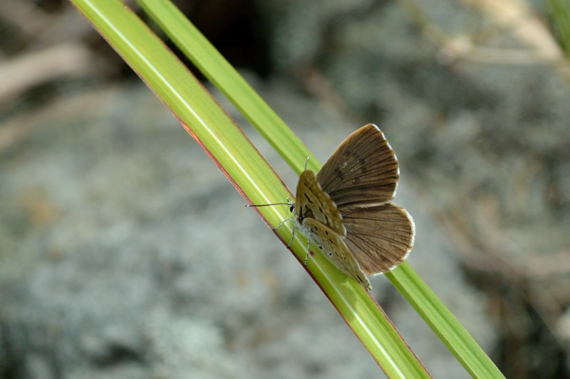 f0031682_13440331.jpg