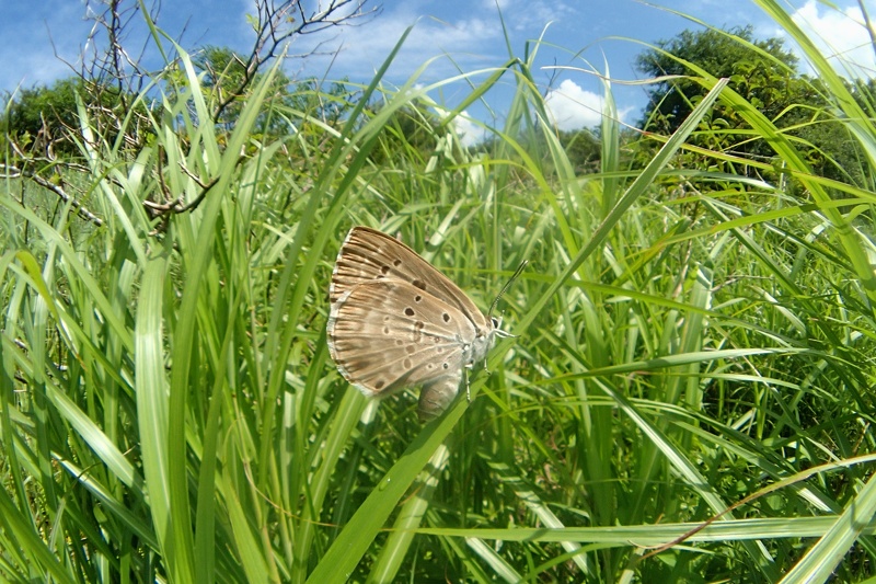 f0031682_13440373.jpg