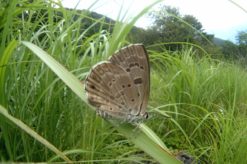 f0031682_13440395.jpg