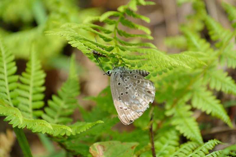 f0031682_13440909.jpg