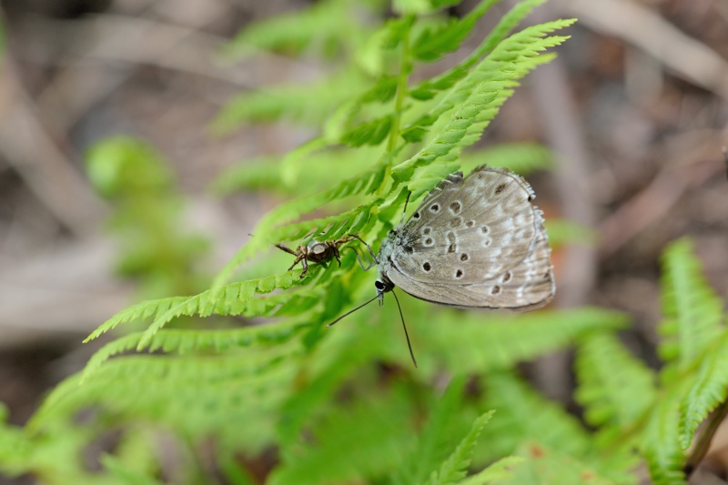 f0031682_13440951.jpg