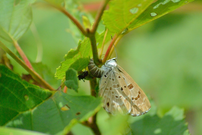f0031682_13440967.jpg