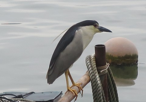 e0197884_1131689.jpg