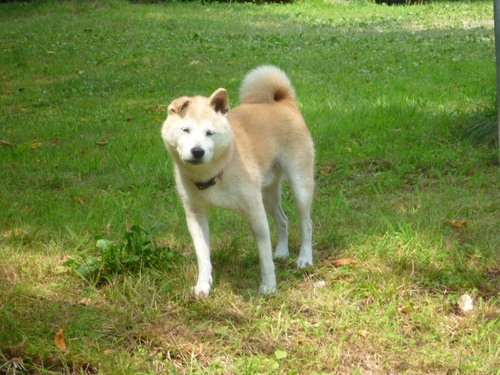 c0123890_2114887.jpg