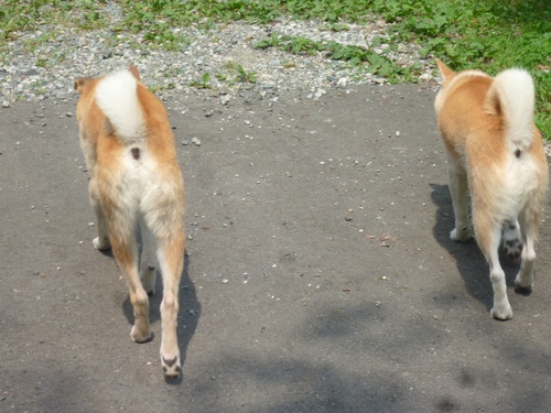 c0123890_2135444.jpg