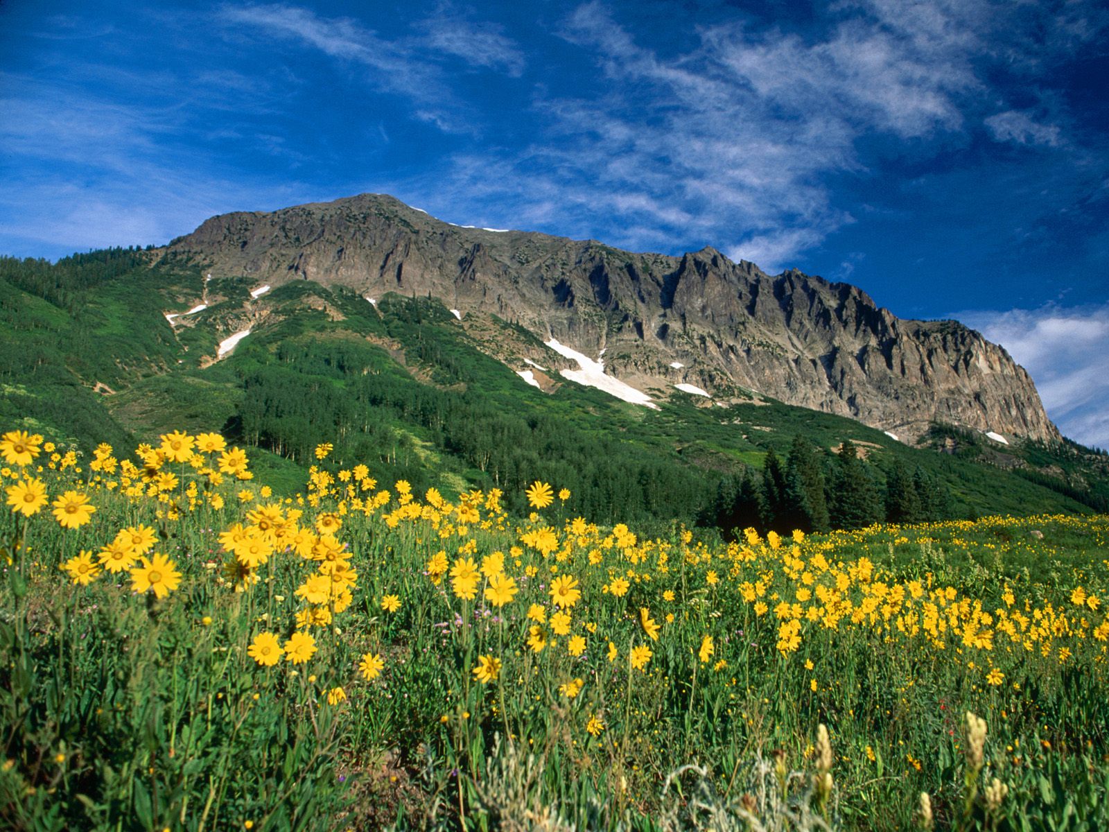 e0161692_4111071.jpg