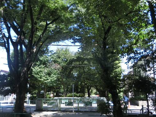 a0319693_14512957.jpg