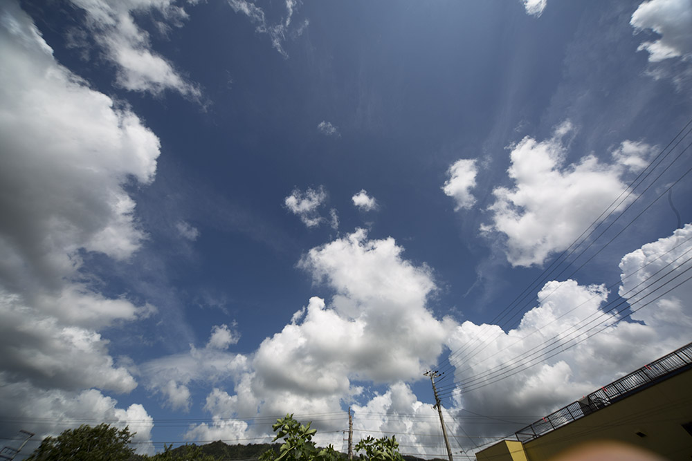f0195893_1525496.jpg