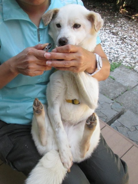 c0216000_2241373.jpg