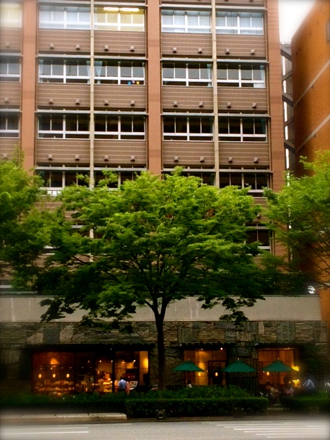 b0083902_0534975.jpg