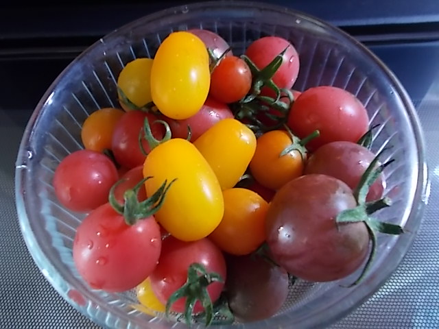 f0316507_10021653.jpg