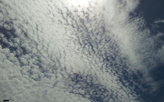 e0258208_1121184.jpg