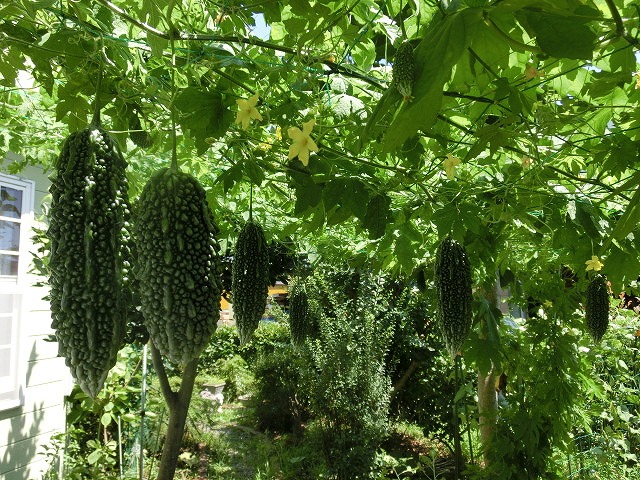 f0141310_725247.jpg