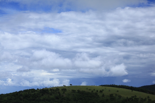 e0242721_14411336.jpg