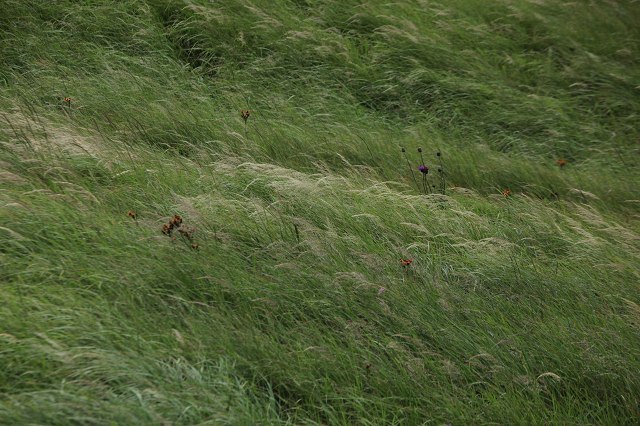 e0242721_1442991.jpg