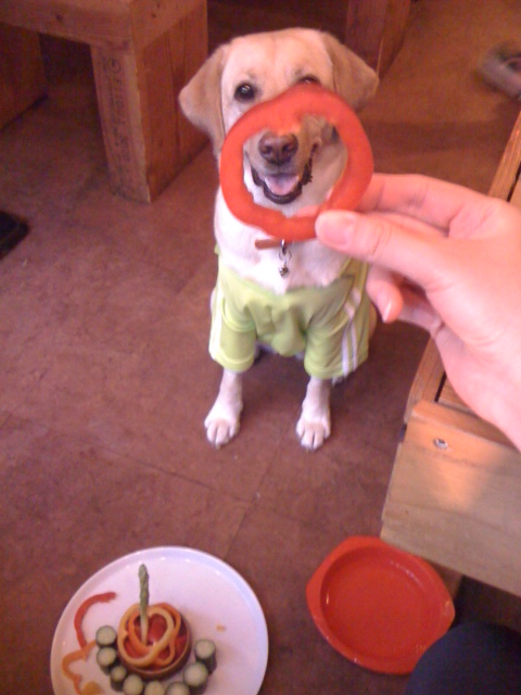 b0339522_22245268.jpeg