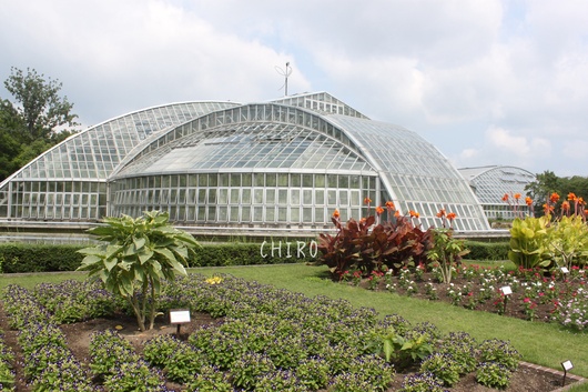 f0293522_13121080.jpg