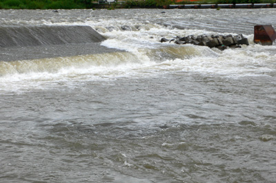 a0046429_21494444.jpg