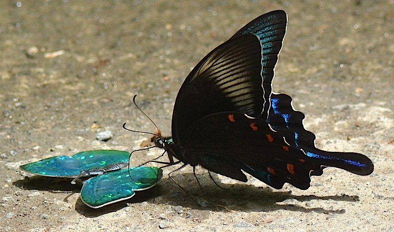 d0303129_251033.jpg