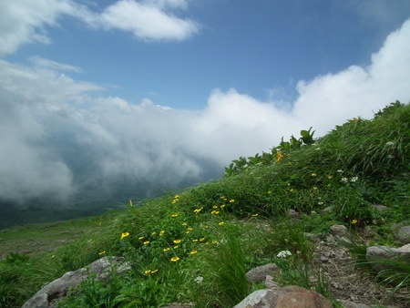 f0118332_1021896.jpg