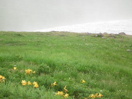 f0118332_10222472.jpg