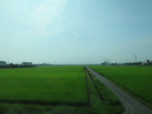 b0178339_07470205.jpg
