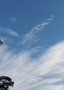 c0225143_1848251.jpg