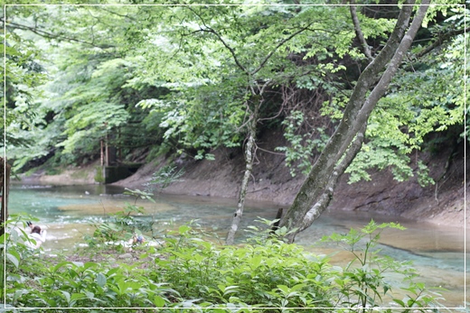 f0142948_23245790.jpg