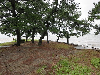 d0031853_2313643.jpg