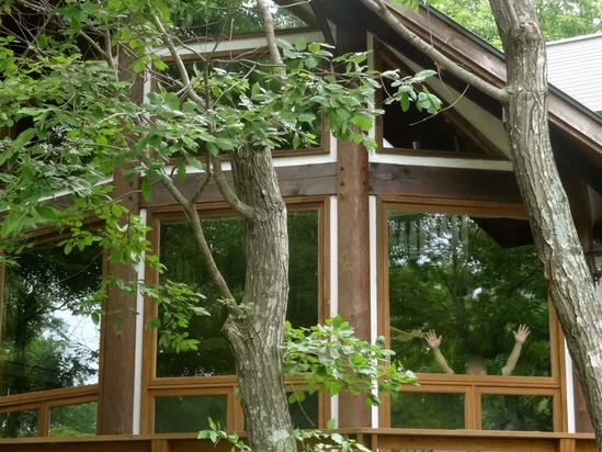 f0198556_14175091.jpg