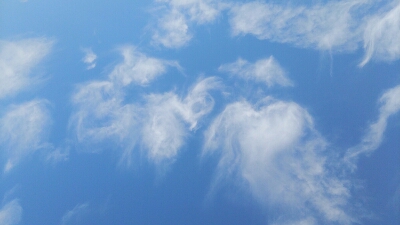 b0253057_22542296.jpg