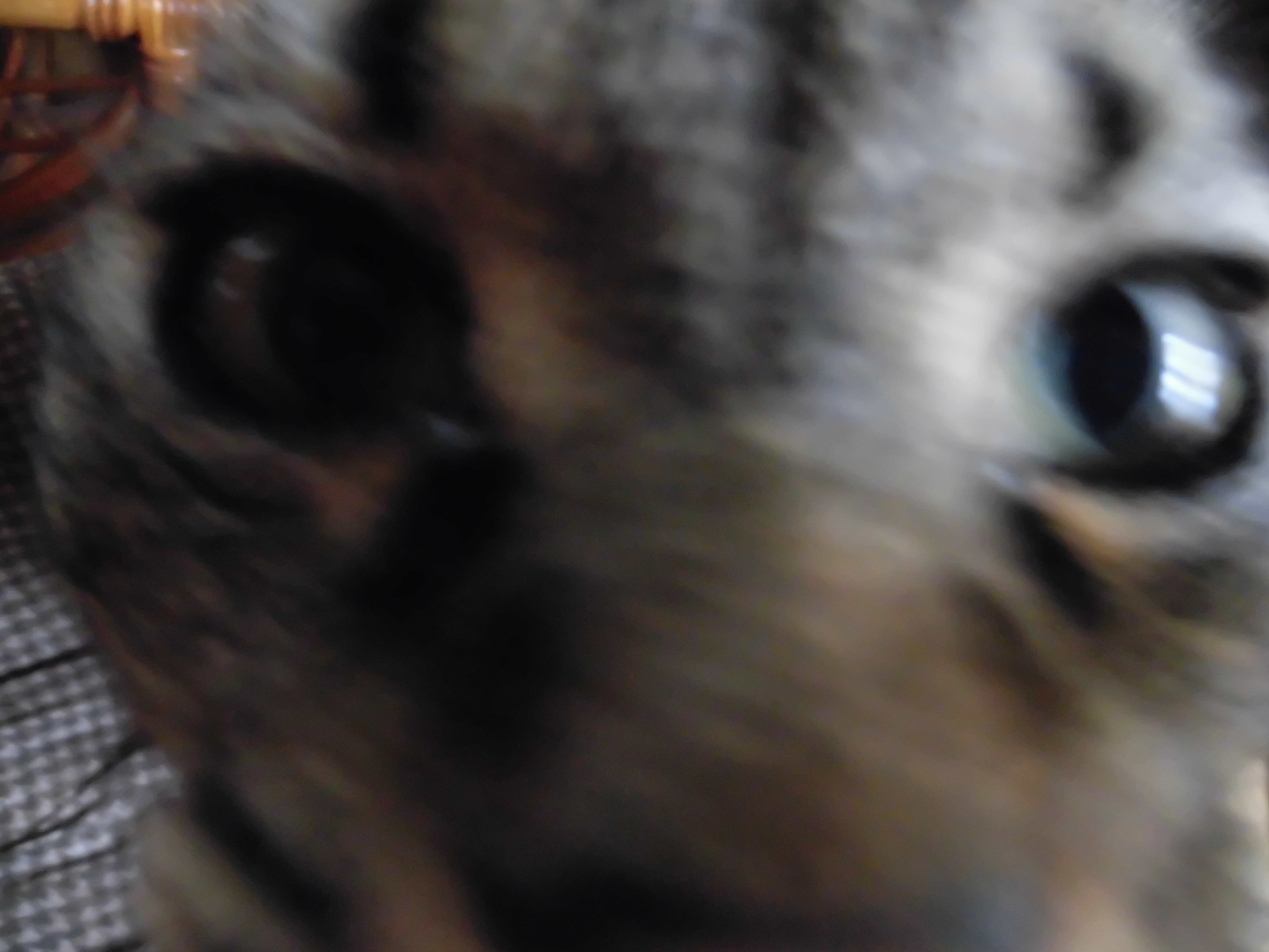 c0324959_15182710.jpg