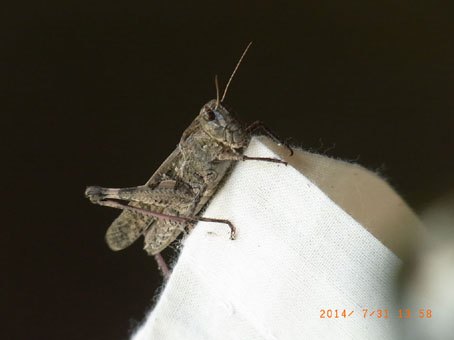 b0075364_9121916.jpg
