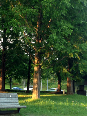c0050264_11225455.jpg