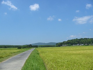 e0041168_08394394.jpg