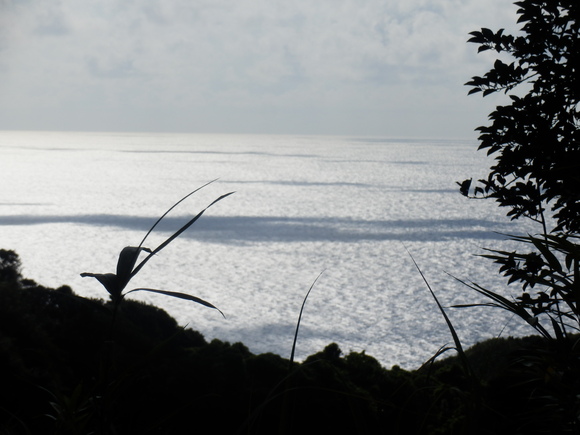 e0292172_20374550.jpg