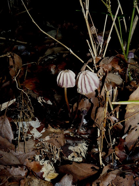 d0019074_643845.jpg