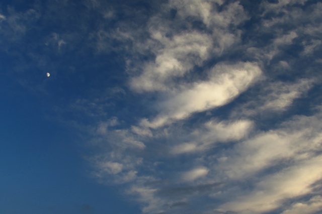 b0326576_22061498.jpg